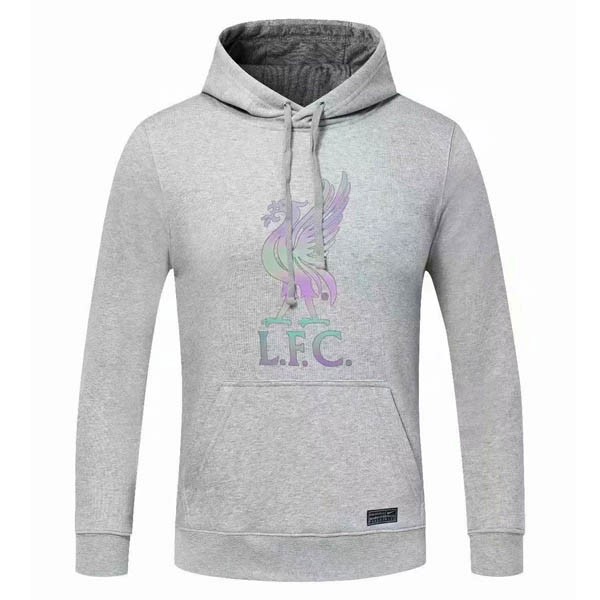 Sudaderas Con Capucha Liverpool 2020-21 Gris